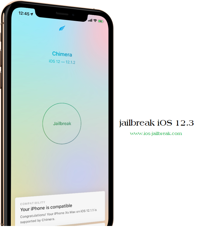 iOS 12.3 jailbreak﻿